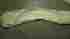 00470230 1978 1987 Chevelle El Camino Nos Wheel Opening Molding