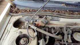 Infiniti 2881559j00 1991-1996 Infinity G20 Windshield Wiper Motor Oem