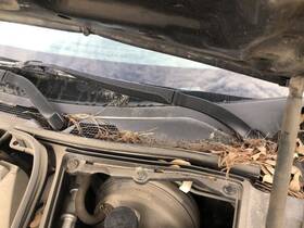 620-50194 Infiniti Windshield Wiper Motor Vq37vhr Convertible Fits 08-13 G37 827813
