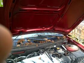 Mercury 621-00488 Wiper Transmission Fits 99-02 Cougar 141537
