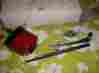 S-b895 Volt American Bosch Usa 12 V Windshield Wiper Motorkit Ih International Harvester K D C Made By New Star