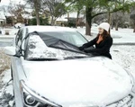 Delk Frostguard Front Windshield Snow Cover Fg-pro 61" 52871-12DS. Fixed Price $29.99.