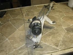 2004-2005 Pontiac Grand Prix Buick Lacrosse Wiper Motor Trans. Linkage Oem. Fixed Price $37.50.