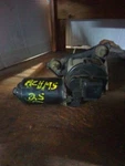 Used Windshield Wiper Motor Fits: 1997 Ford Escort Grade. Fixed Price $135.70.