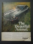 1970 Jaguar Xke Coupe Magazine Ad - The Beautiful Animal. British Leyland Motors. Fixed Price $14.99.