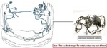 Engine Room Harness Oem 2018 Ford TRANSIT35. Fixed Price $200.00.