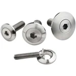 Billet Specialties 66110 Pro Bolts 5/16 18X1" W/ 3/4" Washers (pair. Fixed Price $37.65.