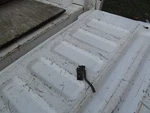 1971-1973 Mustang Windshield Wiper Nozzle Lh Side Oem. Fixed Price $12.00.