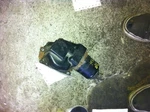 84 85 Honda Accord Windshield Wiper Motor Carb Engine. Fixed Price $48.32.