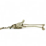 10-17 Mercedes E350 E550 E400 C207 Linkage Motor Wiper Transmission Windshield. Fixed Price $137.89.