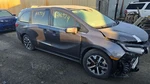 Windshield Wiper Motor Fits 25 Odyssey 31880119. Fixed Price $115.62.